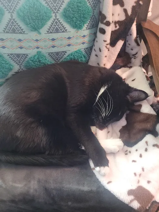 Vetco Total Care Animal Hospital 12