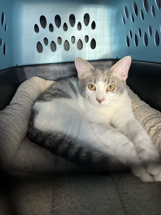 Vetco Total Care Animal Hospital 12