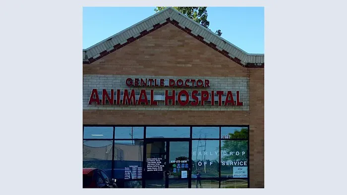 Gentle Doctor Animal Hospital 12