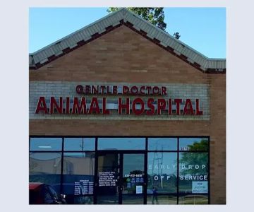 Gentle Doctor Animal Hospital