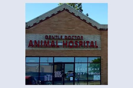 Gentle Doctor Animal Hospital