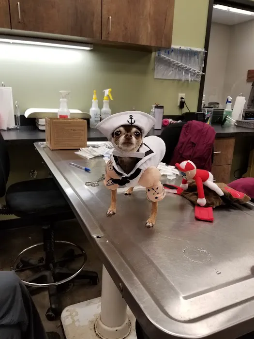 McCauley Animal Clinic 12