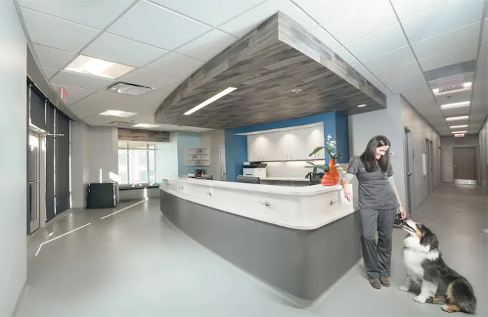 Veterinary Specialty Services - West 12