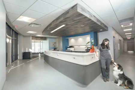 Veterinary Specialty Services - West