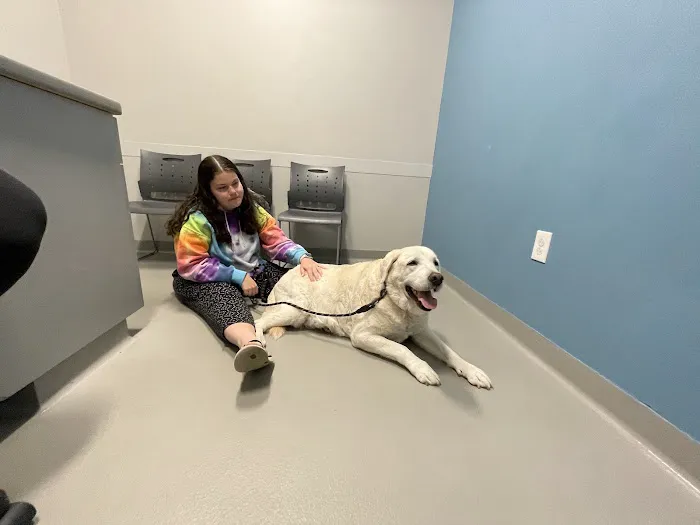 Veterinary Specialty Services - West 12
