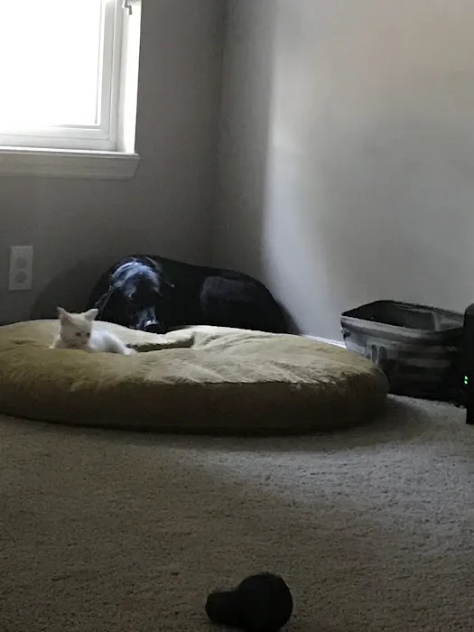Banfield Pet Hospital 8