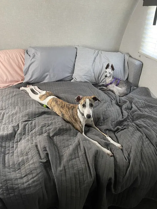 Banfield Pet Hospital 5