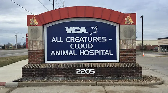 VCA All Creatures - Cloud Animal Hospital 7