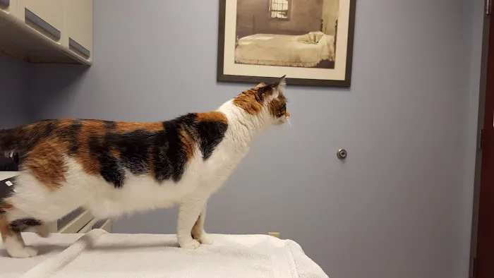 Harvest Plaza Animal Hospital 2