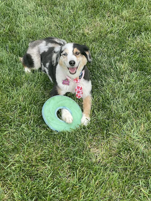 Harvest Plaza Animal Hospital 6