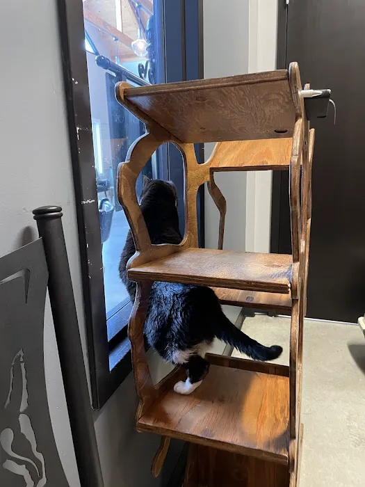 The Pet Doctor - O'Fallon 12