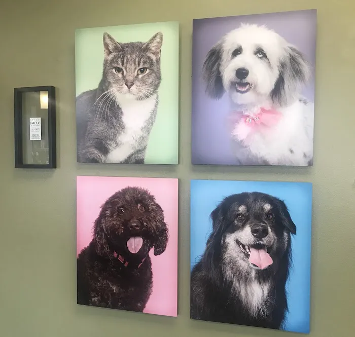 Cherry Hills Veterinary Hospital 4