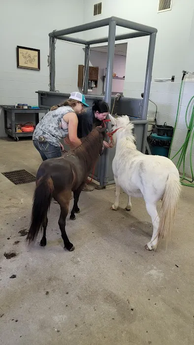 Equine Medical Associates 12