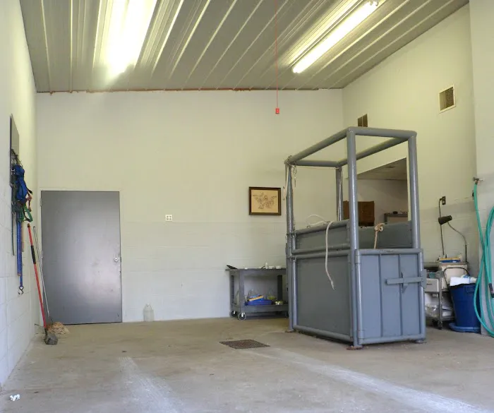 Equine Medical Associates 12