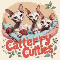 Cattery Sphynx Universe ico