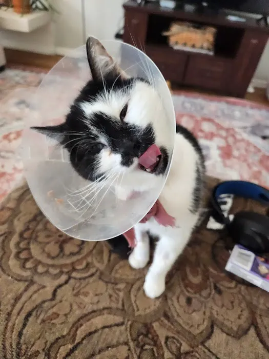 VetMed Consultants 10