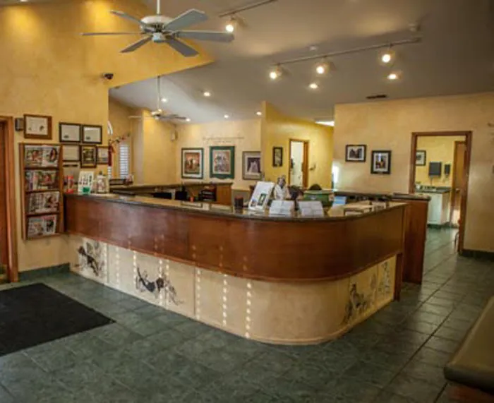 VCA Cottonwood Animal Hospital 2