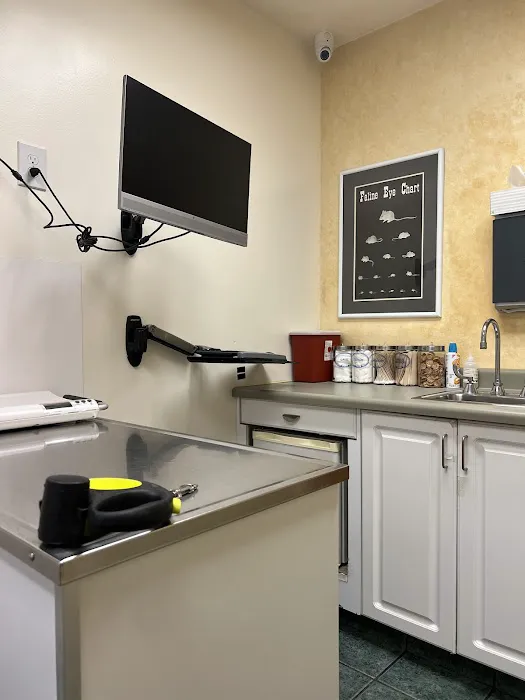 VCA Cottonwood Animal Hospital 5