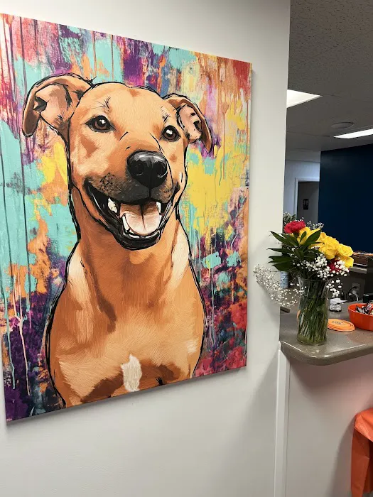 Vista Vet Clinic and Urgent Care 2