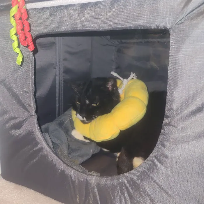 Vista Vet Clinic and Urgent Care 6