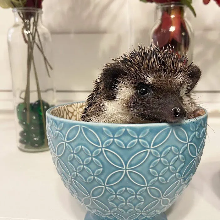 Wasatch Exotic Pet Care 2