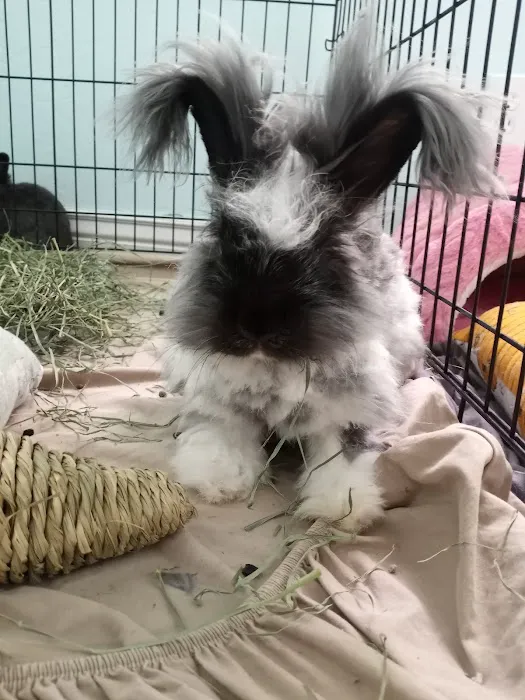 Wasatch Exotic Pet Care 1