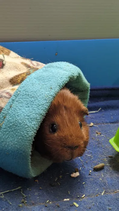 Wasatch Exotic Pet Care 3