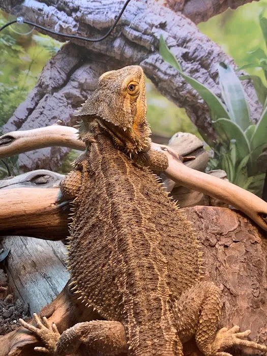Wasatch Exotic Pet Care 4