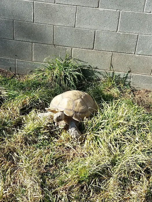 Wasatch Exotic Pet Care 6