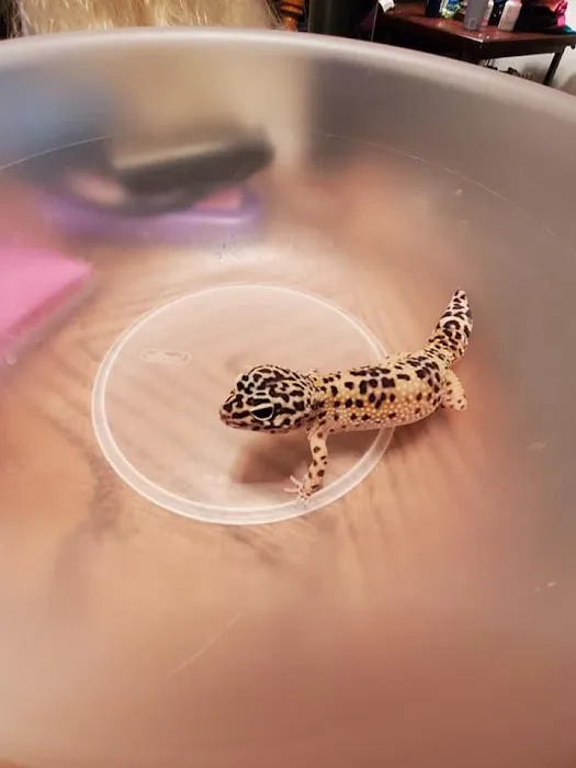 Wasatch Exotic Pet Care 10