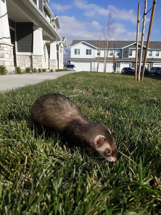 Wasatch Exotic Pet Care 9