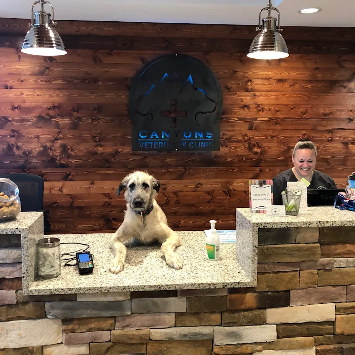 Canyons Veterinary Clinic 6