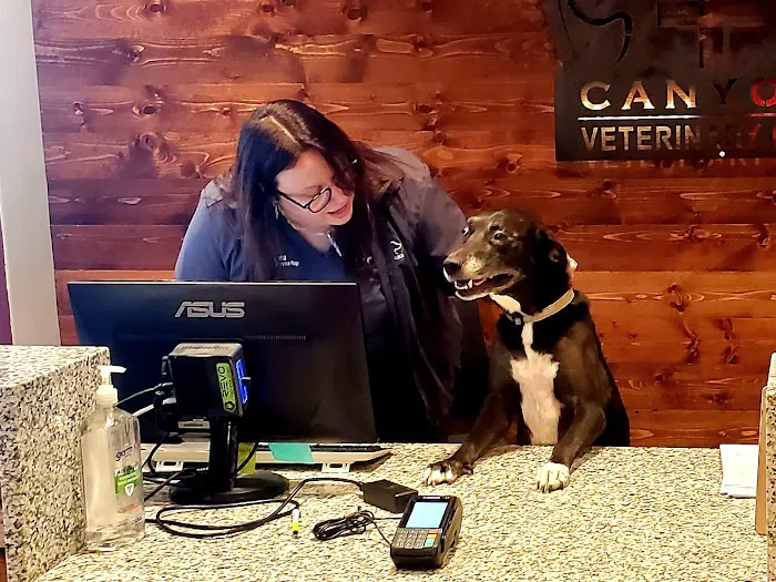 Canyons Veterinary Clinic 9