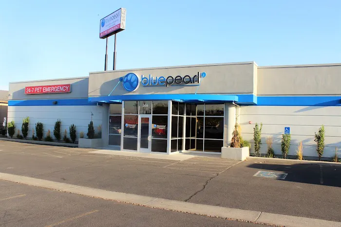 BluePearl Pet Hospital 1