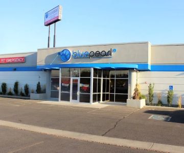 BluePearl Pet Hospital