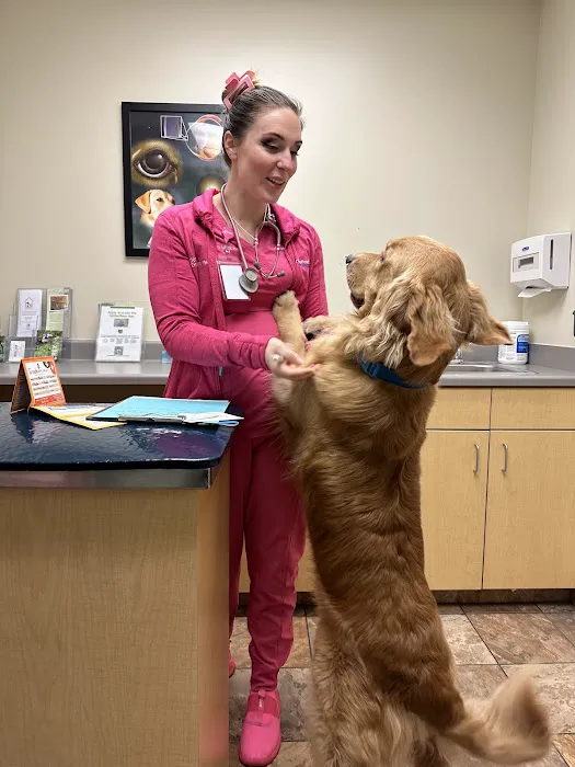 BluePearl Pet Hospital 8