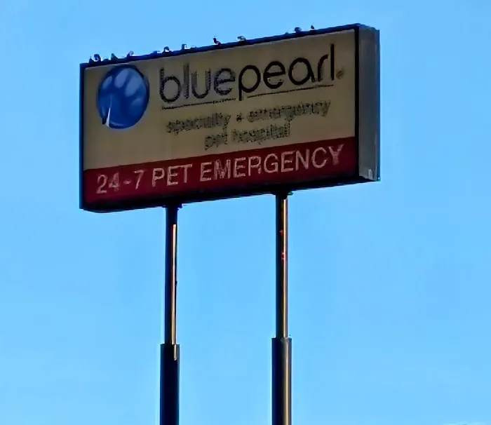Veterinary Hospital in Salt Lake City 6