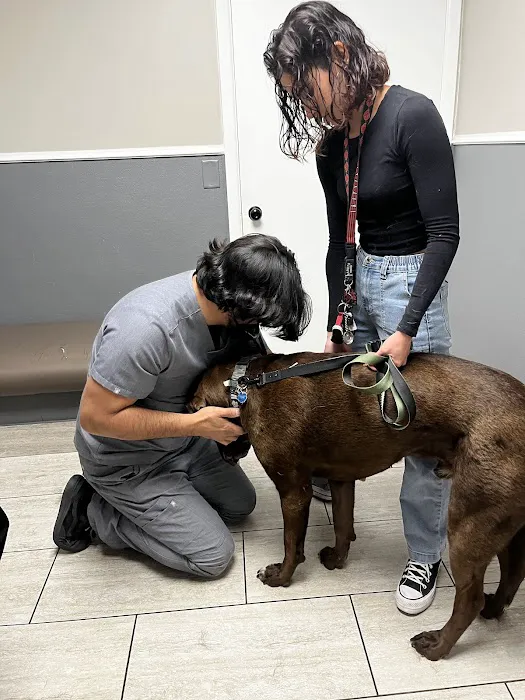 Veterinary Hospital in Salt Lake City 3