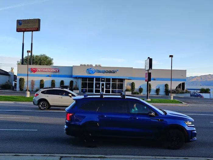 Veterinary Hospital in Salt Lake City 4