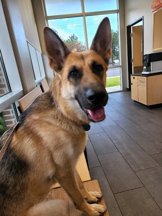 Banfield Pet Hospital 6
