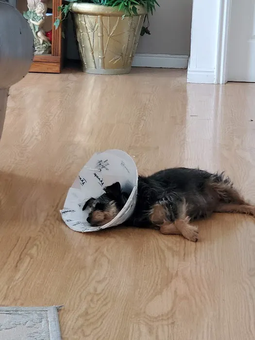 Banfield Pet Hospital 8