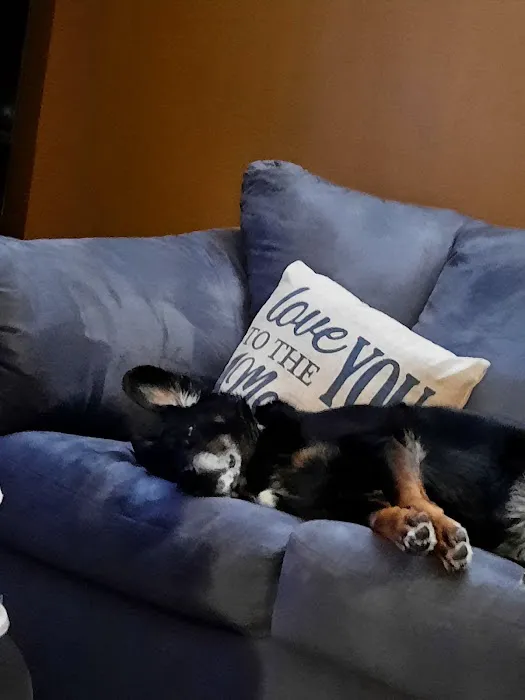 Banfield Pet Hospital 7