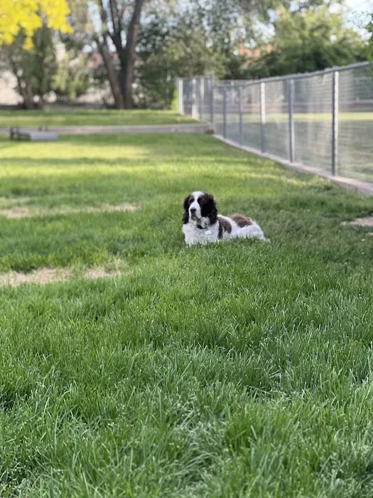 West Jordan Veterinary Hospital 5