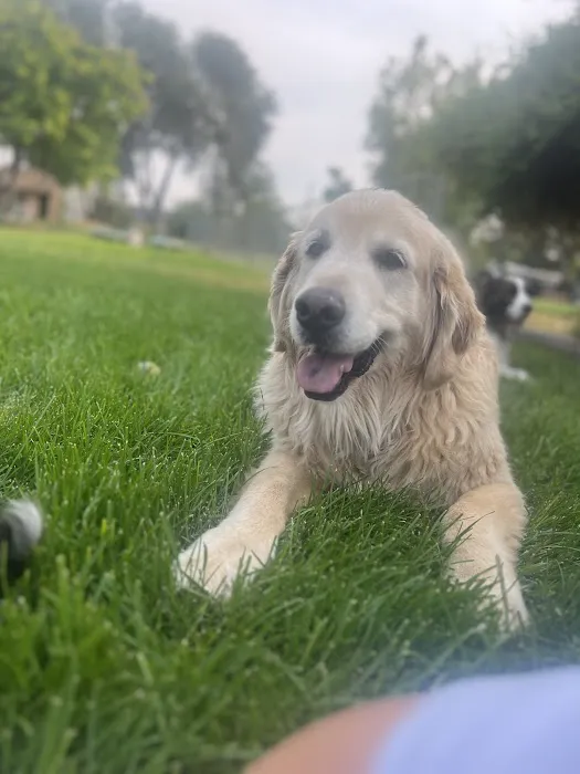 West Jordan Veterinary Hospital 9