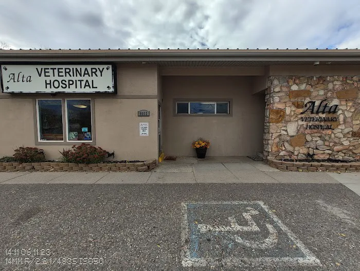 Alta Veterinary Hospital 2