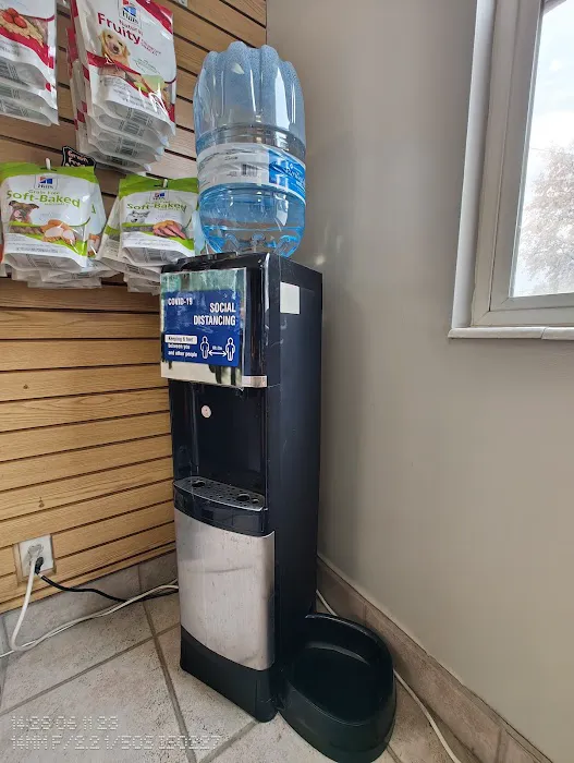 Alta Veterinary Hospital 6