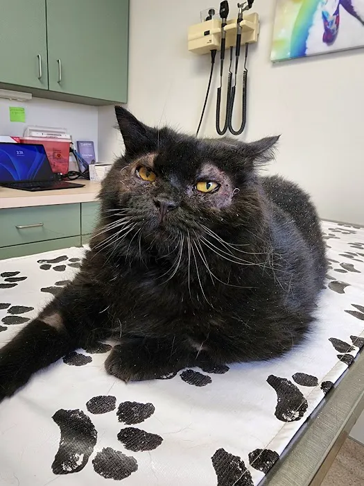 Wilson Veterinary Hospital 1