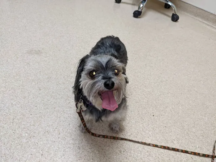 Wilson Veterinary Hospital 2