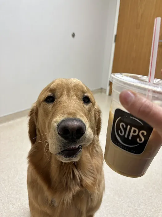 Wilson Veterinary Hospital 5