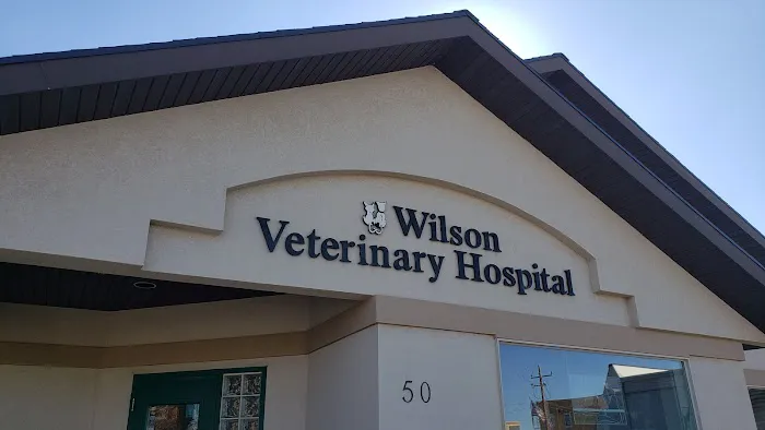 Wilson Veterinary Hospital 6